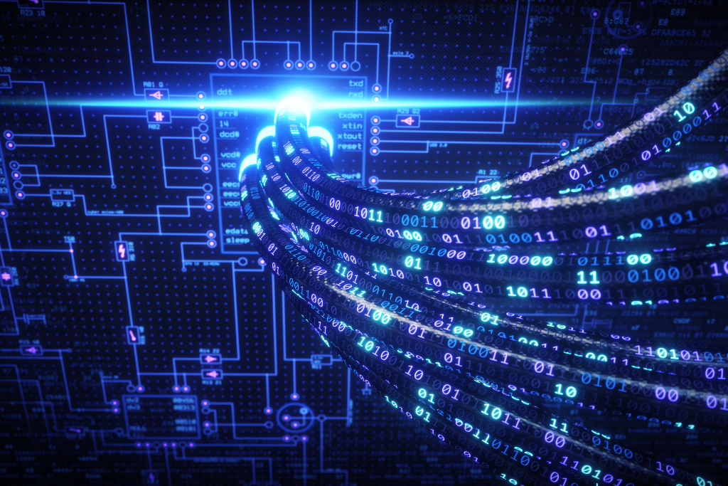 Network Cable